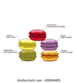 Set of different taste macaroons, Pistachio, Strawberry, Lemon, Plum, Orange. Vector illustration