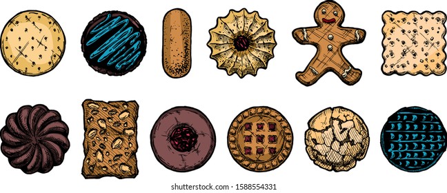 Set of different tasty cookies in old fashioned etched style. isolated on white.