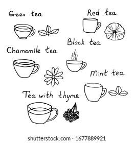 Set of different tea, cups and ingredients, lettering, vector illustration, hand drawing