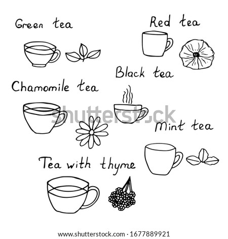 Set of different tea, cups and ingredients, lettering, vector illustration, hand drawing