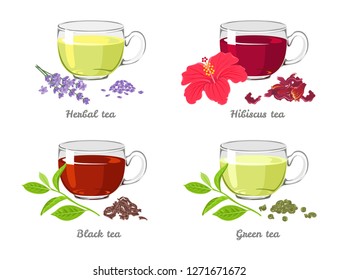 Set of different tea in glass cups isolated on white background. Herbal, Hibiscus, Green, Black. Vector illustration in cartoon flat style.