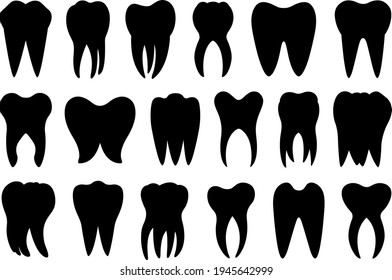 Set of different teeth isolated on white