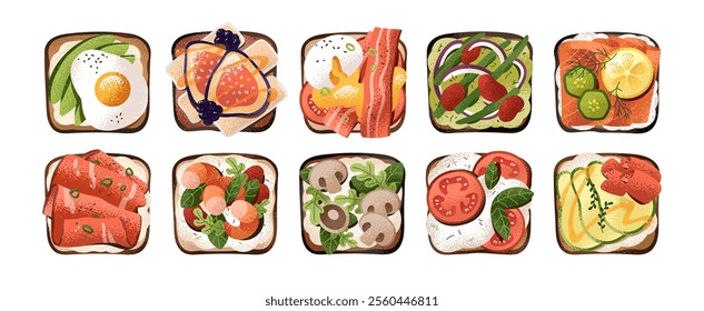 Set of different toast sandwiches top view. Bread with salmon, bacon, avocado, eggs, tomato, mushrooms, greenery. Healthy eating, breakfast food. Flat isolated vector illustrations on white background