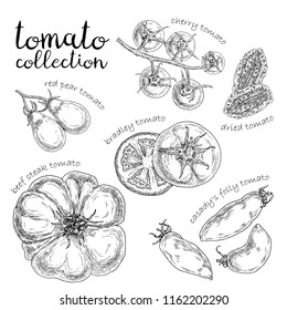 Set of different tomato. Hand drawn graphic. Vintage style.