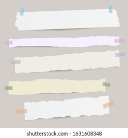 Set of different torn stripes of note papers. 