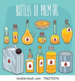 Set of different transparent containers of different materials with oil from seeds of Elaeis guineensis, known as Palm oil. On all bottles stickers with image of plant. Vector illustration