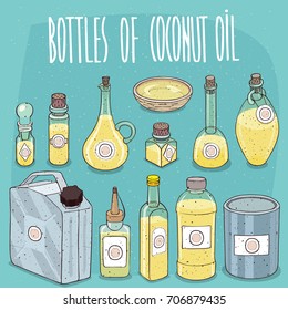Set of different transparent containers of different materials with oil from Coconuts, known as Coconut oil. On all bottles stickers with image of plant. Vector illustration