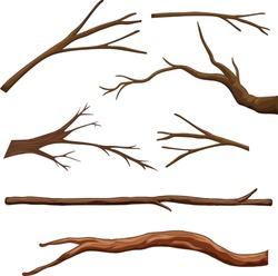 Ensemble De Différentes Branches D'arbres, Illustration Isolée