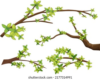Set of different tree branches isolated illustration