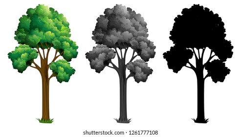 Conjunto de diferentes ilustraciones de diseño de árbol