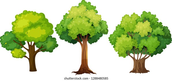 Set of different tree design illustration