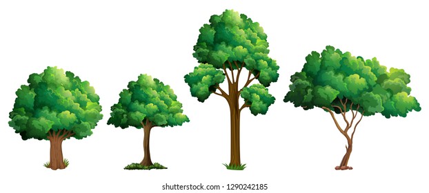 Set of different tree design illustration