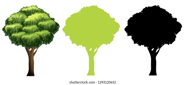 Set of different tree design illustration