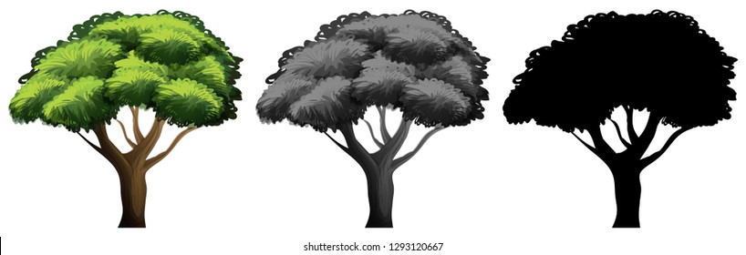 Set of different tree design illustration