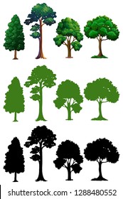 Set of different tree illustration