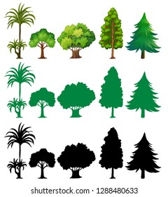 Set of different tree illustration