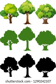 Set of different tree illustration