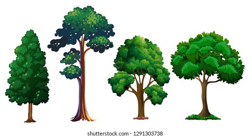 Set of different tree illustration