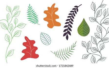 Set of different tree leaves. Isolated on a white background. Collection of abstract leaves. Vector design elements. vector illustration.
