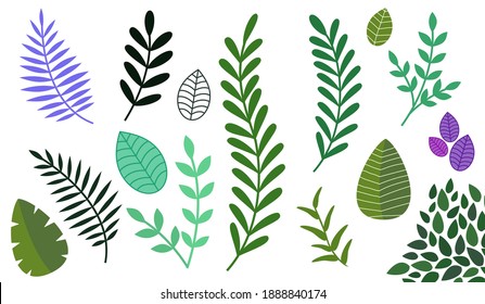 Set of different tree leaves. Isolated on a white background. Collection of abstract leaves. Vector design elements. vector illustration.