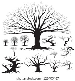 Set of different tree silhouettes - detailed vector illustrations, great for icon creation