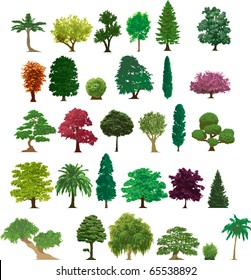 set of different trees