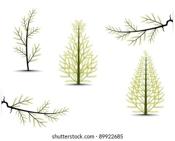 set of different trees for Christmas, Autumn and other other occasion.Vector illustration