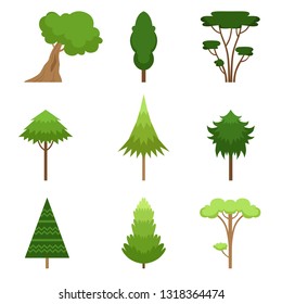 Set of different trees oak, sequoia, spruce, pine, cedar, maple, linden, cattan. Vector illustration.