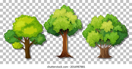 Set of different trees on transparent background illustration