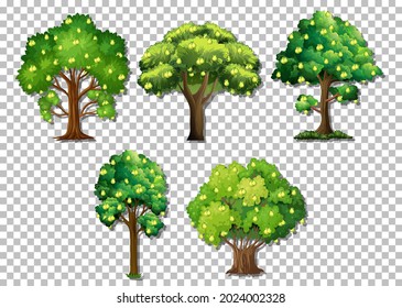 Set of different trees on transparent background illustration