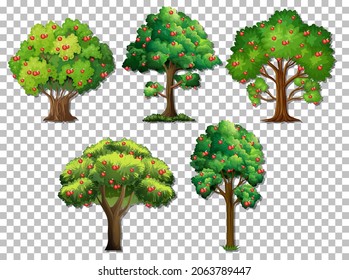 Set of different trees on transparent background illustration