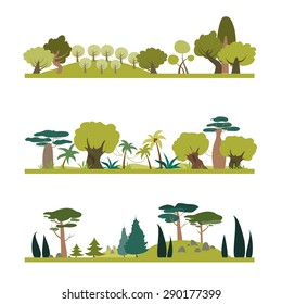 Set of different trees species . Coniferous, tropic, deciduous. Vector isolated illustration in flat style