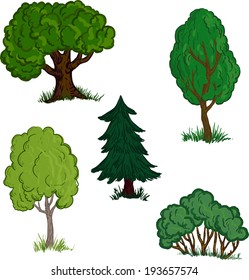 set of different trees, vector illustration