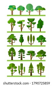 Set of different trees vector ilustration on isolated white backgound.Flat trees design.