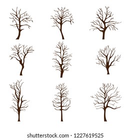 Set of different trees without leaves in autumn or winter isolated on white background, leafless branches and trunks, vector illustration