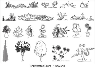 set of different trees...vector