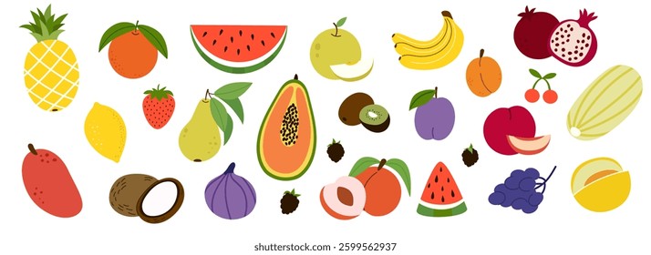 Set of different tropical fruits and berries. Fresh and ripe organic healthy food. Watermelon, pineapple, bananas,coconut and etg. Colored hand drawn flat vector illustration isolated