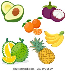 Set of different tropical fruits. Collection of organic vitamins and healthy nutrition. Durian. Banana. Oranges. Mangosteen. Avocado.
