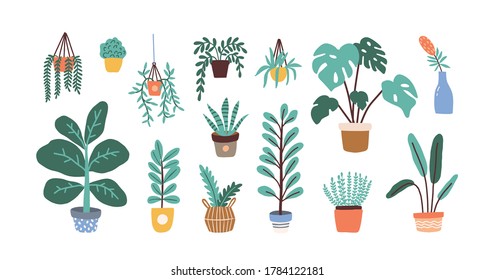 Set of different tropical house plant. Ficus, monstera, protea, pellaea, succulent in various pot, vase. Scandinavian cozy home decor. Flat vector cartoon illustration isolated on white - Shutterstock ID 1784122181
