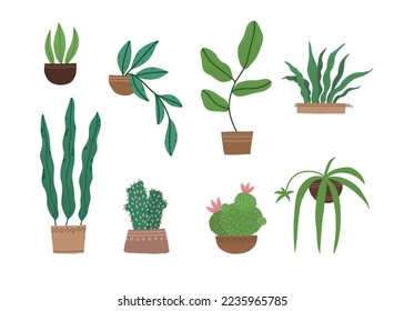 Set of different tropical house plant. Ficus, monstera, protea, pellaea, succulent in various pot, vase. Scandinavian cozy home decor. Flat vector cartoon illustration isolated on white background