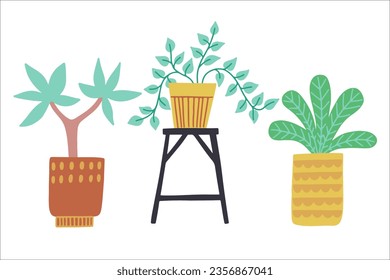 Set of different tropical house plant. Scandinavian cozy home decor. Flat vector cartoon illustration isolated on white background.