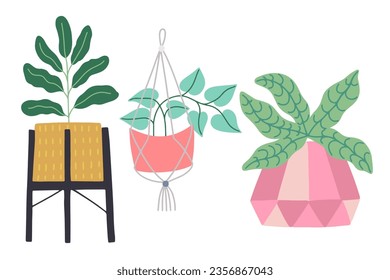 Set of different tropical house plant. Scandinavian cozy home decor. Flat vector cartoon illustration isolated on white background.
