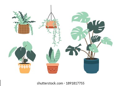 Set of different tropical house plant.Scandinavian cozy home decor. Flat vector illustration isolated on white