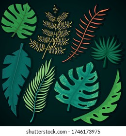 Set of different tropical leaves on dark background