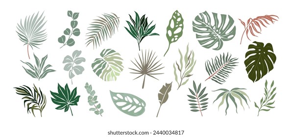 Set of Different tropical leaves vector drawings. 