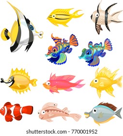 Set of different tropical marine aquarium fishes on white background