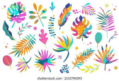 Set of different tropical and other isolated bright leaves with geometric shapes in them. Palm, banana leaf, hibiscus, plumeria, split leaf, philodendron. Jungle collection for your design.Vector