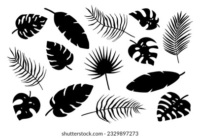 Set of different tropical palm leaves, jungle Monstera, Calathea, banana leaves. Exotic collection of silhouette plants. Hand drawn botanical vector illustration elements isolated on white background