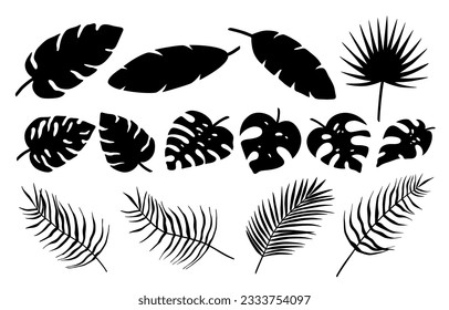 Set of different tropical palm leaves, jungle Monstera, Calathea, banana leaves. Exotic collection of silhouette plants. Hand drawn botanical vector illustration elements isolated on white background