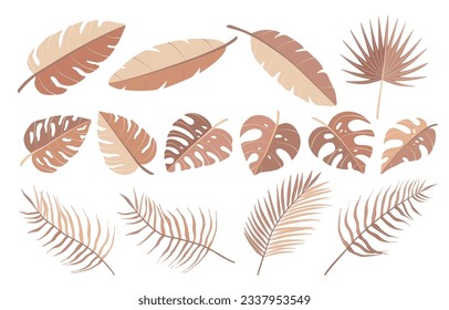 Set of different tropical palm leaves, jungle Monstera, Calathea leaves. Exotic boho collection of earth tone colors plants. Hand drawn botanical vector illustration isolated on white background